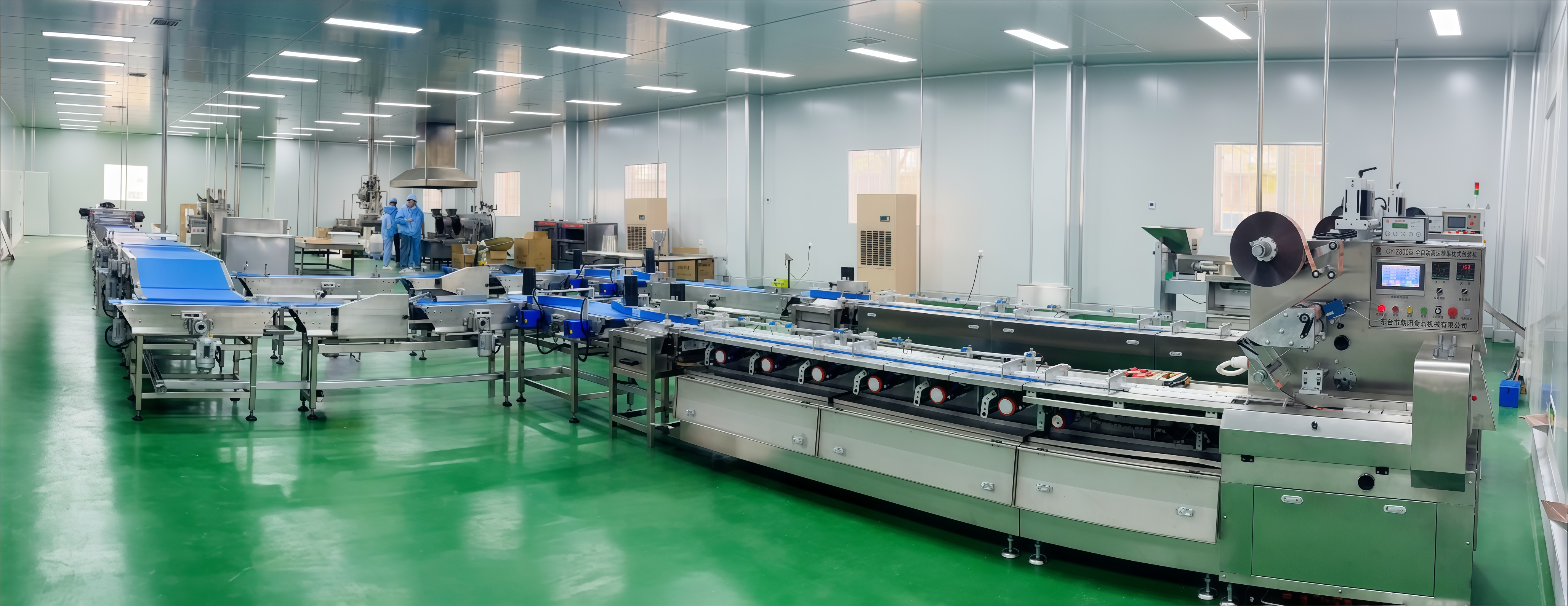 CYW-98 Automatic Feeding And Packaging Line