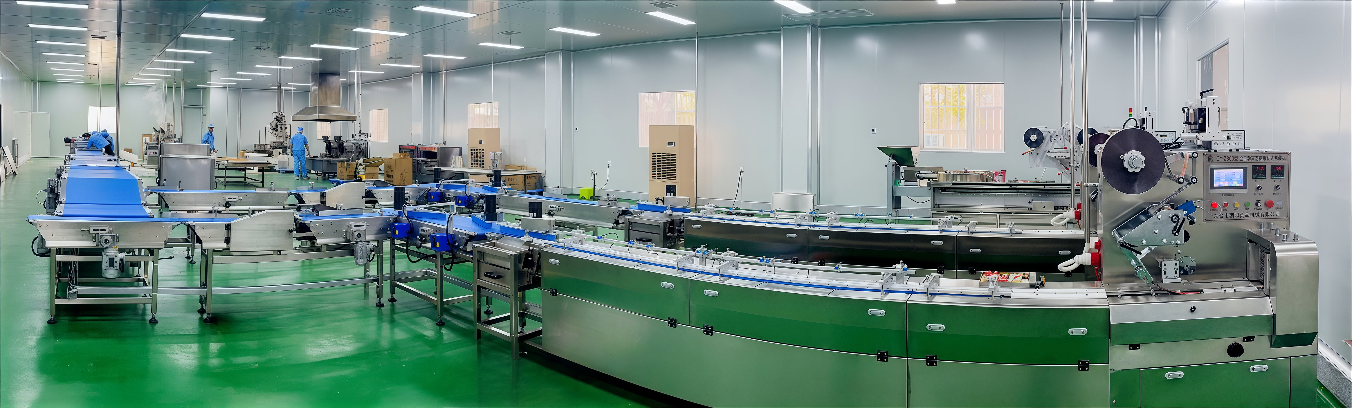 CYW-98 Automatic Feeding And Packaging Line