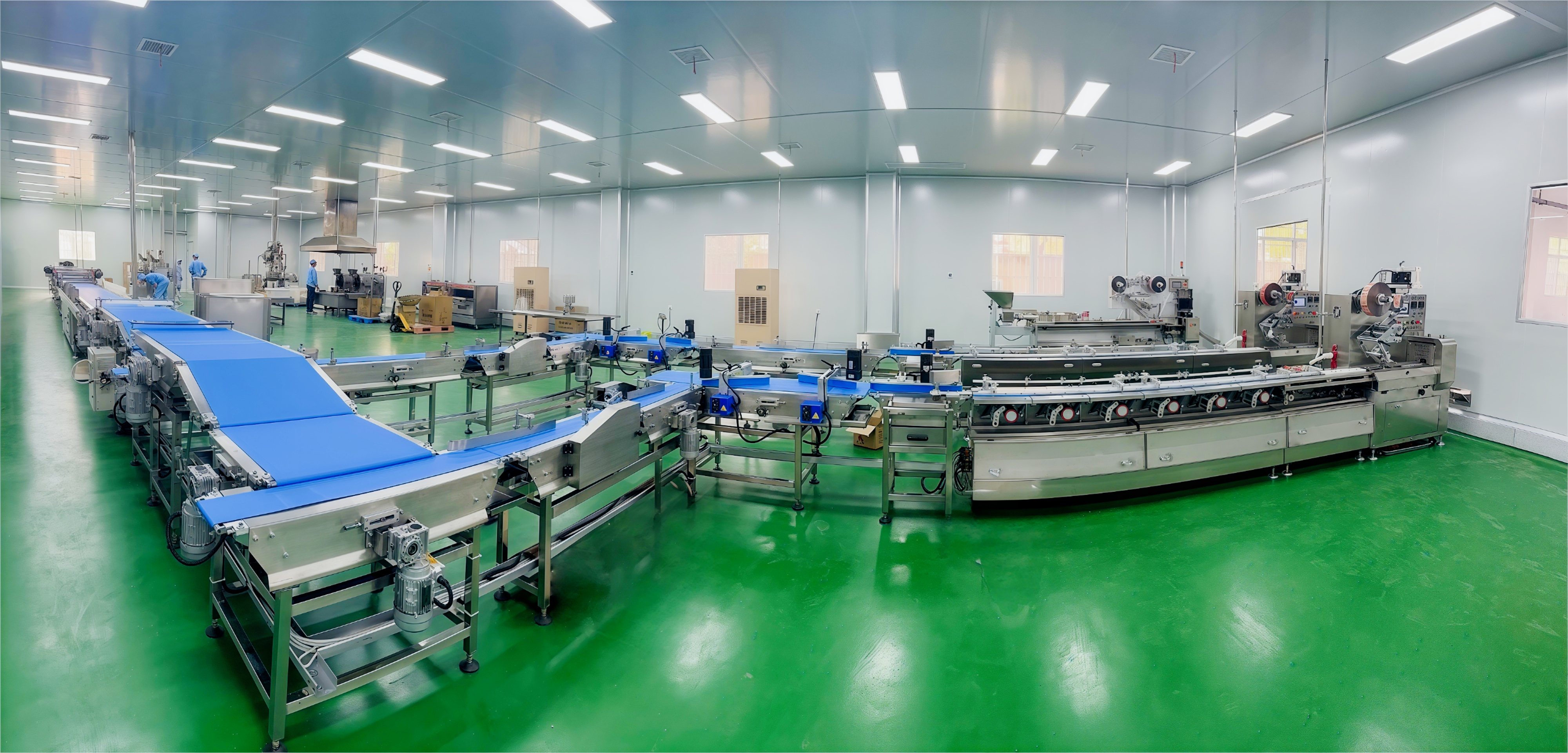 CYW-98 Automatic Feeding And Packaging Line